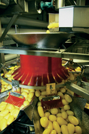 Three Ishida multihead weighers have been installed at German potato ...