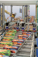 Paal equipment puts together multiple flavour orders of pizza slices. ...
